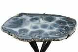 Tall, Brazilian Agate Cocktail Table With Metal Base #206969-3